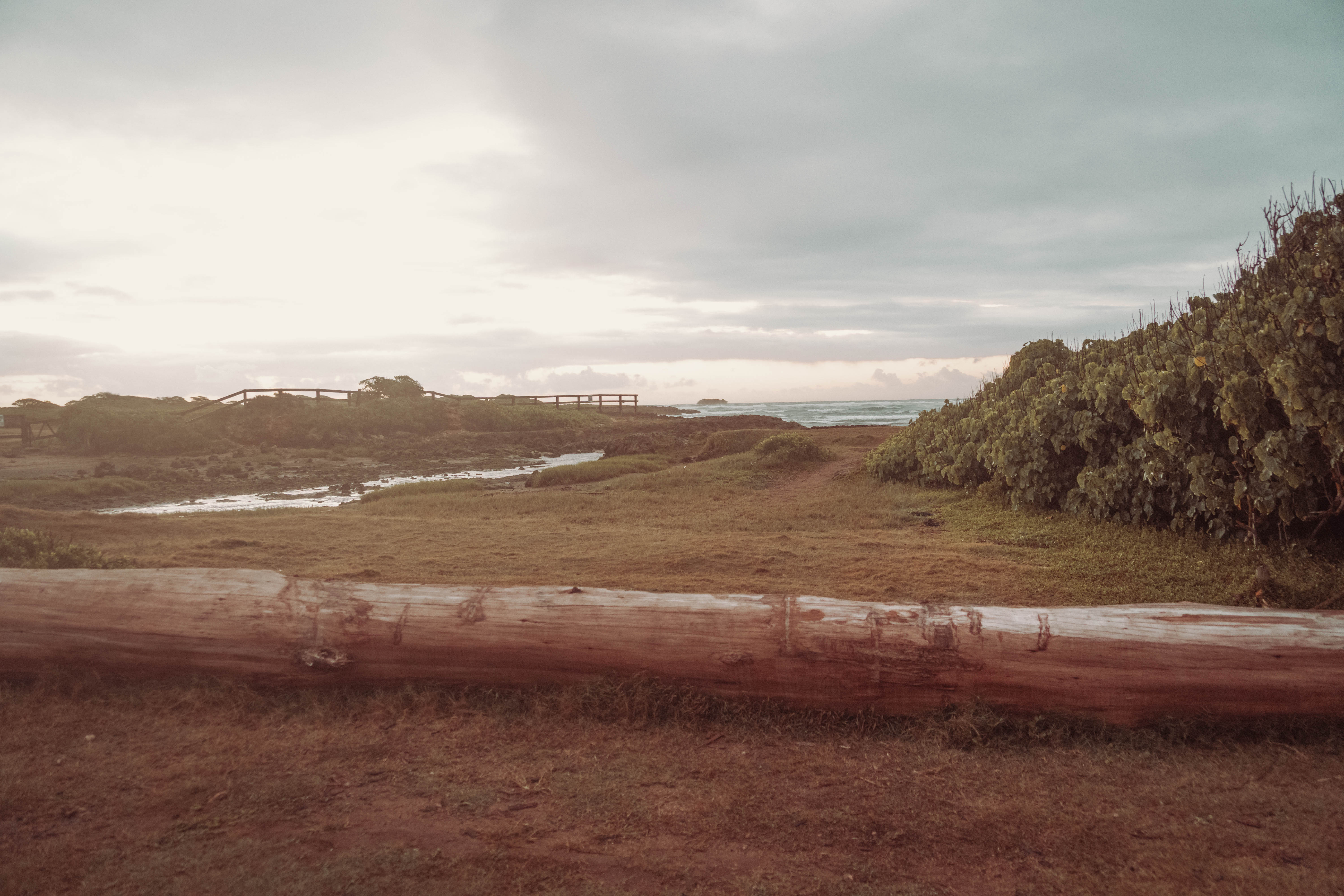 The Webink Solutions family